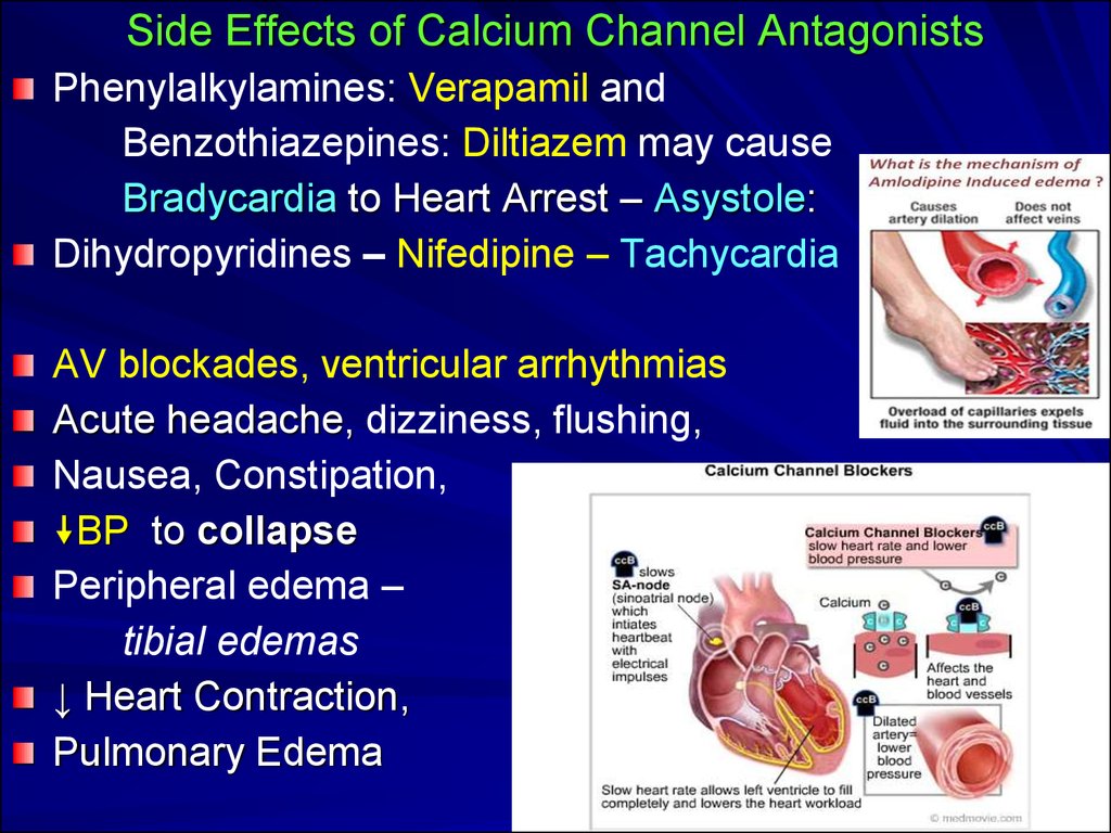 Side Effects Of Drugs Affecting Cardiovascular System Online Presentation