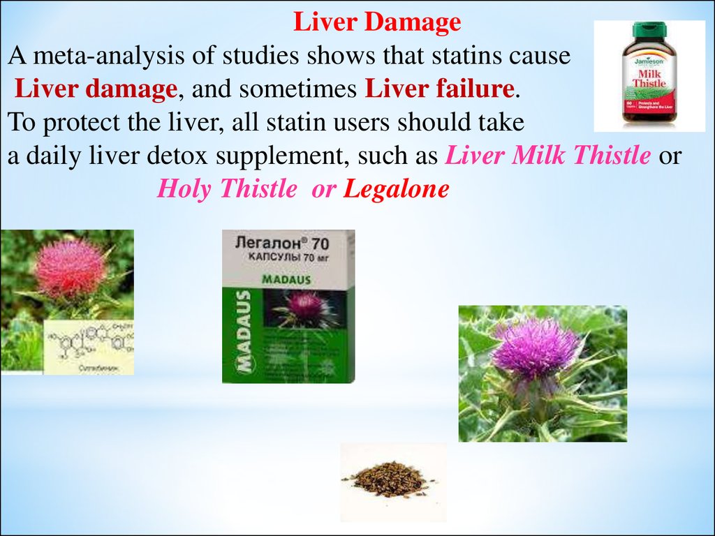 can lipitor harm the liver