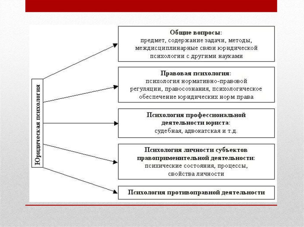 Юридическая психология в схемах