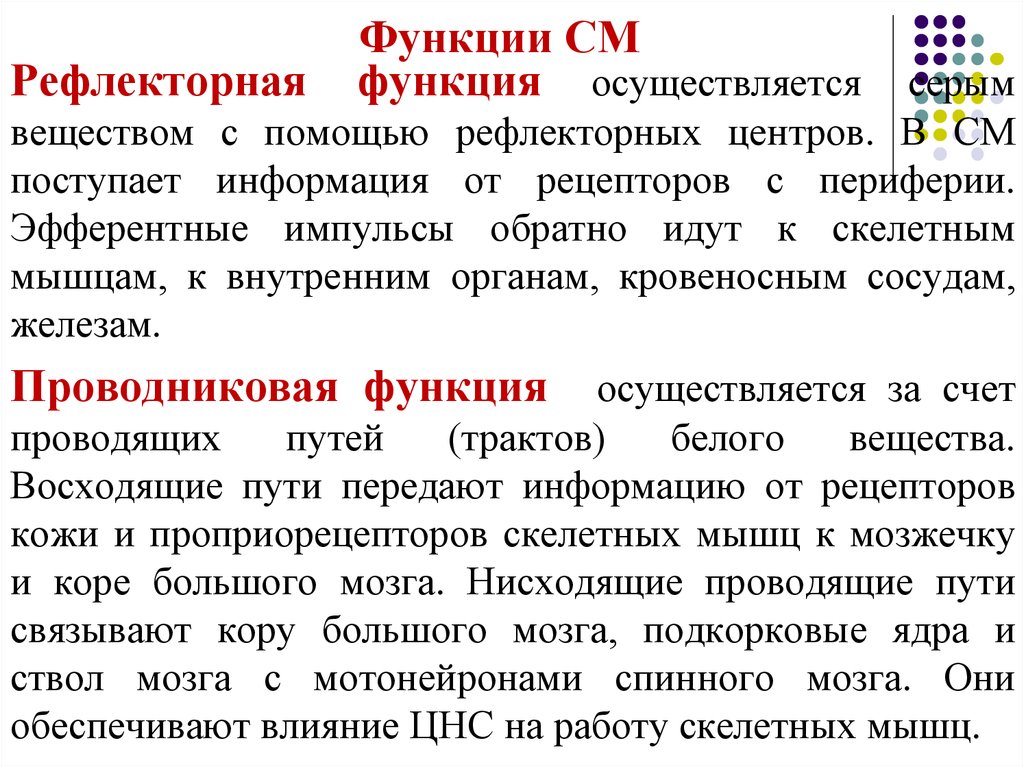 Функция осуществляется. Функции см. Рефлекторная функция серого вещества. Рефлекторная функция см.. Функция серого вещества 1) рефлекторная 2) проводниковая.