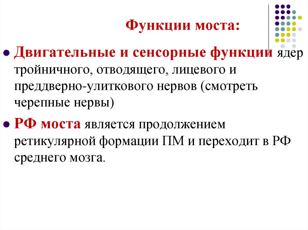 Функции моста мозга. Какова функция собственных ядер моста. Функции моста. Ядра моста функции. Мост функции кратко.