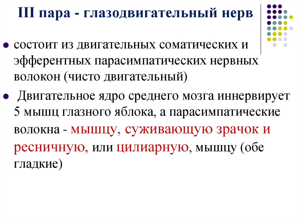 Функция пара. Глазодвигательный нерв функции. III   пара — глазодвигательный нерв. Ядра глазодвигательного нерва функции. Глазодвигательный нерв по функции.