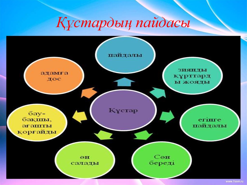 Құстар біздің досымыз презентация слайд