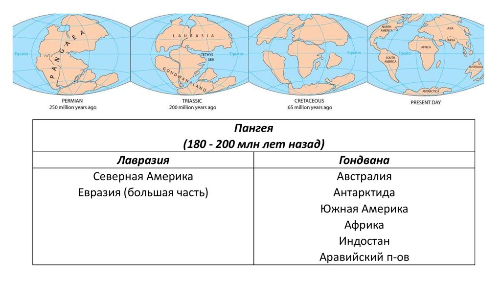 Северная америка входила в состав гондваны