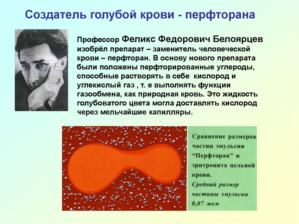 Голубая кровь правда или миф презентация