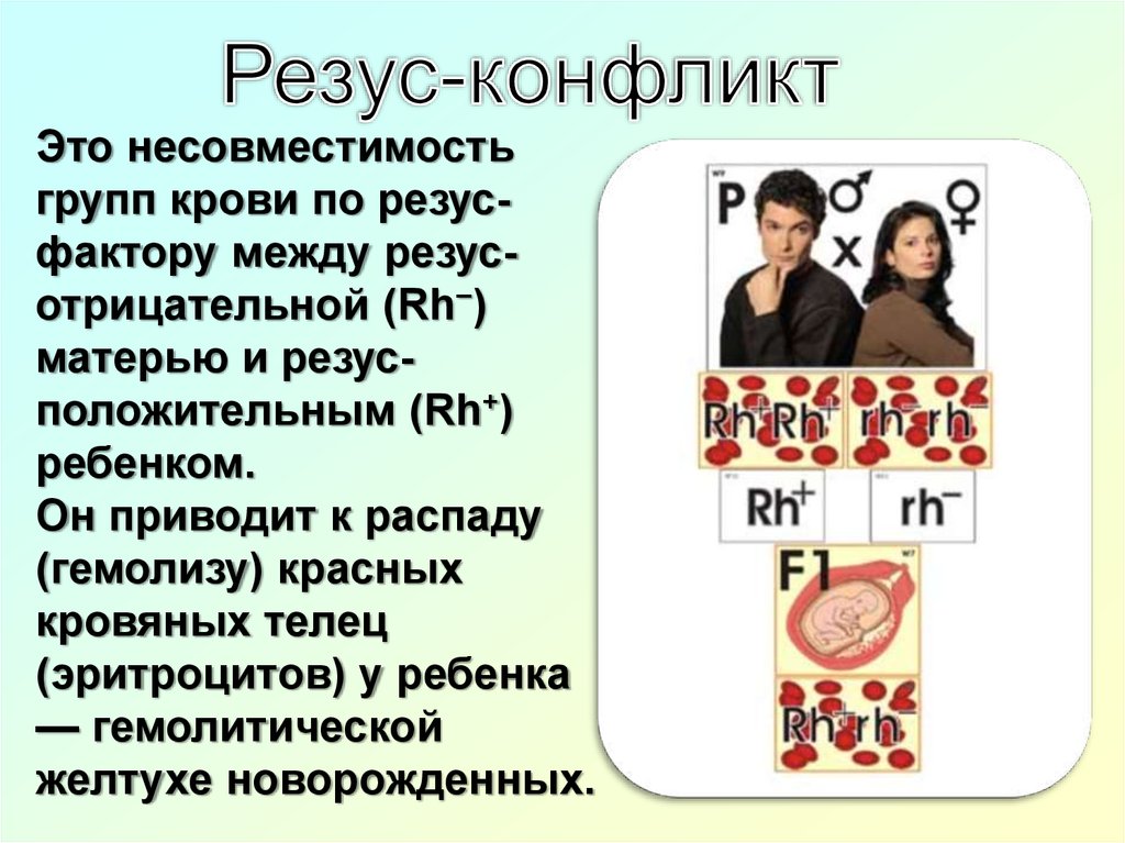 Резус конфликт при переливании крови