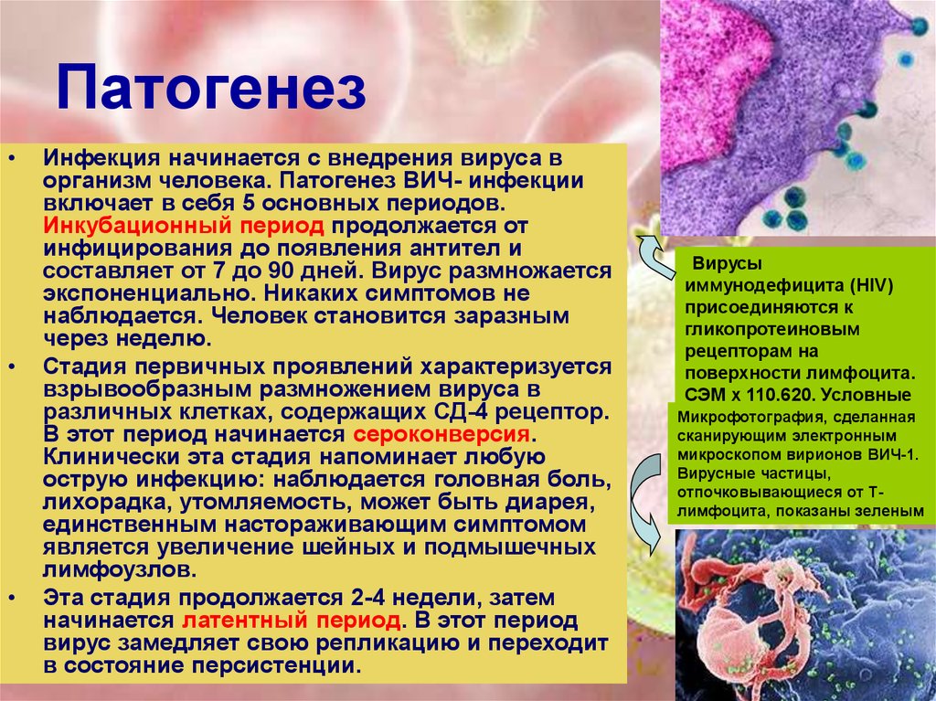 Инфекция в организме. Патогенез ВИЧ инфекции. Механизм развития ВИЧ. Вирус иммунодефицита человека патогенез. Этиология заболевания ВИЧ.