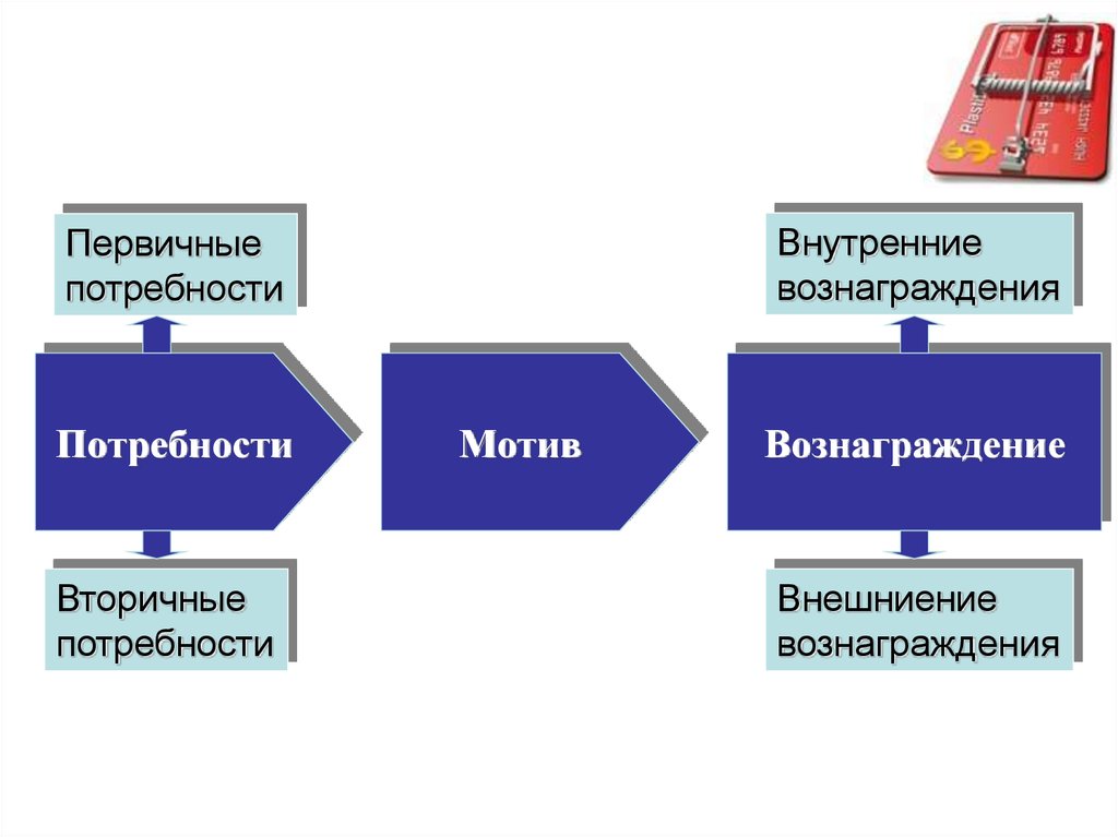 Потребности мотивы вознаграждения