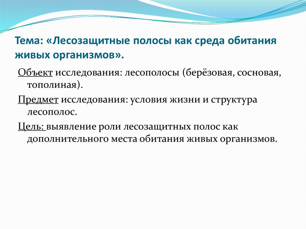 Выявить роль. Выводы по лесозащитным полосам. Исследование функций лесозащитных полос.