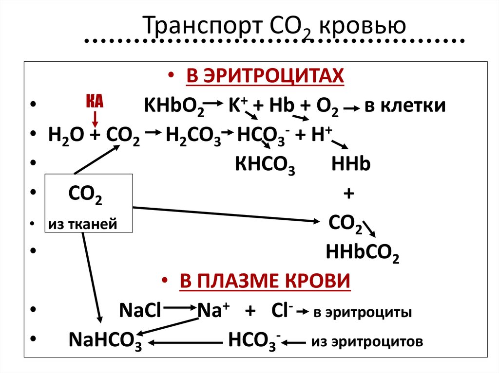 Транспорт углекислого газа. Транспорт со2 кровью. Формы транспорта со2 кровью. Формы транспорта углекислого газа кровью. Транспорт газов (o2 , co2) кровью.