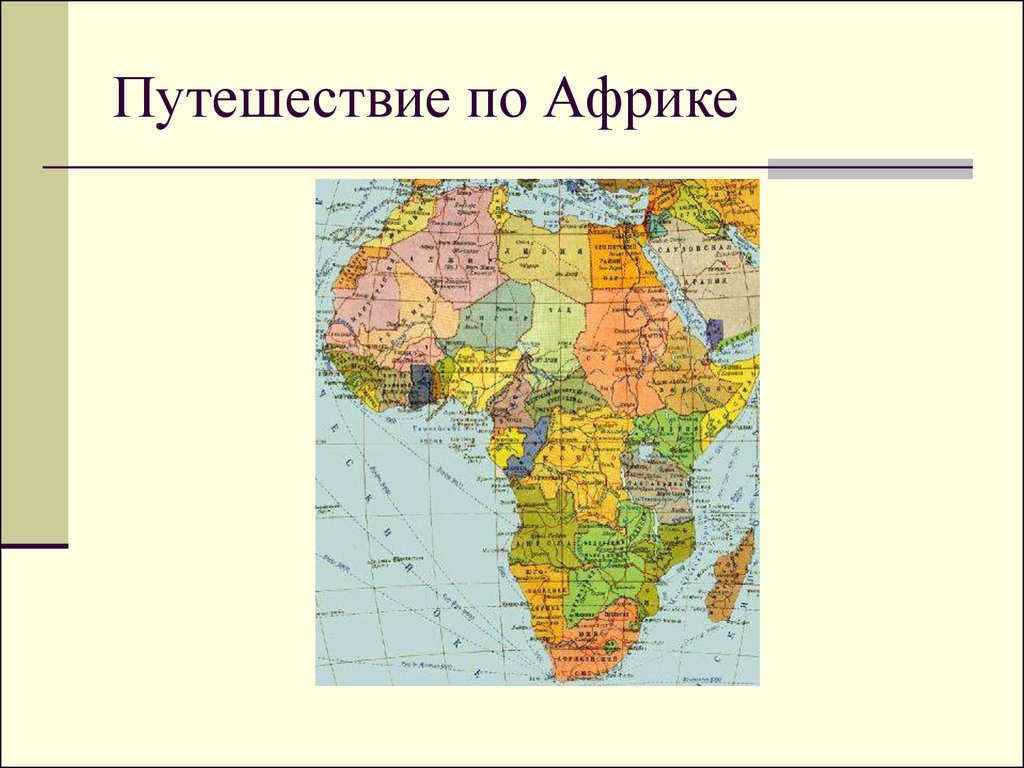 Проект путешествие по африке средняя группа