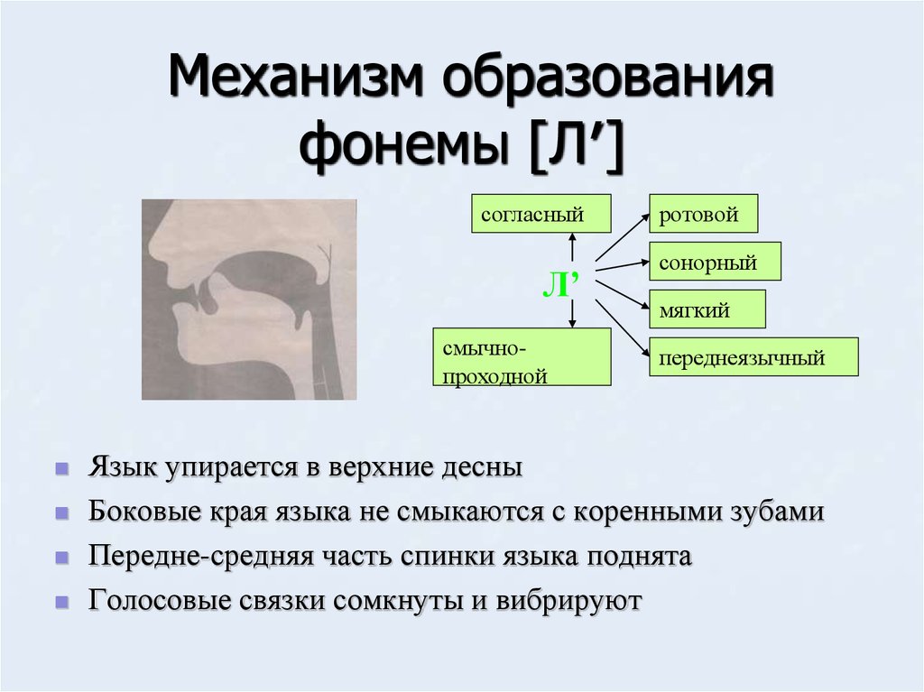 Характеристика звука г. Механизм образования звука. Механизм образования. Звуков л-ль.. Согласный переднеязычный сонорный мягкий.