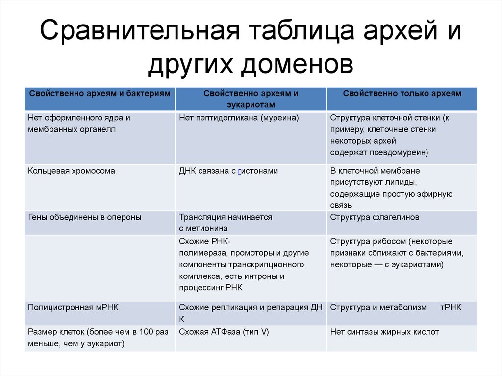 Сравнительная структура. Сравнение Архей бактерий и эукариот. Таблица археи бактерии эукариоты. Таблица археи и бактерии. Сходства Архей и эукариот.