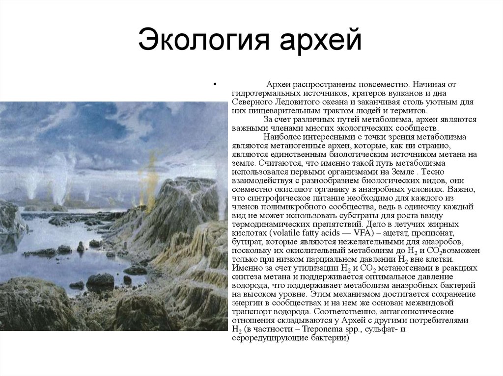 Признаки архей. Архей характеристика эры. Экология Архей. Окружающая среда Архея. Архей характеристика кратко.