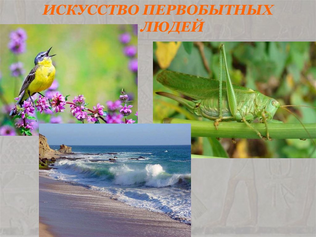 ИСКУССТВО ПЕРВОБЫТНЫХ ЛЮДЕЙ