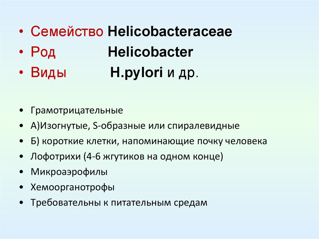 Nuevo tratamiento para helicobacter pylori