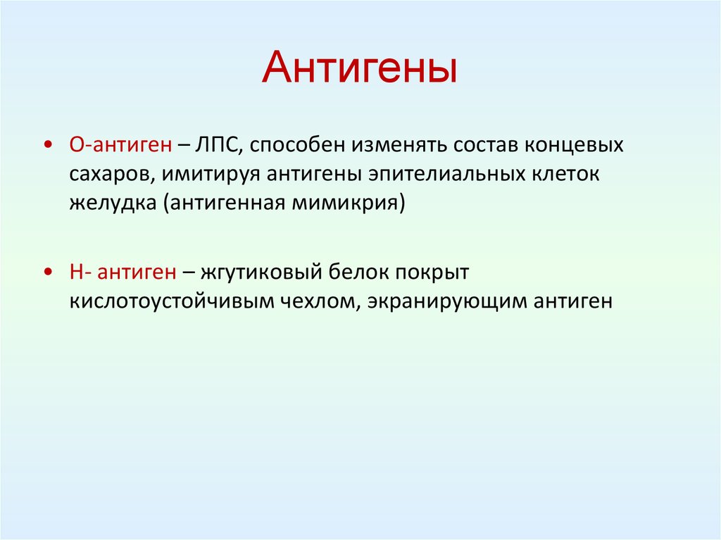 К презентации антигена способны