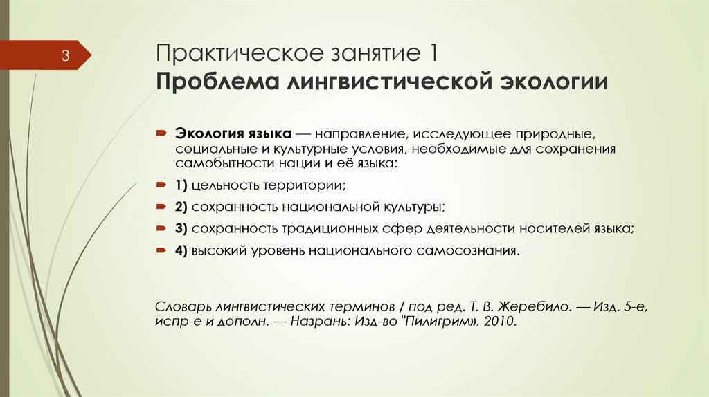 Проблемы языковой культуры в современном российском обществе