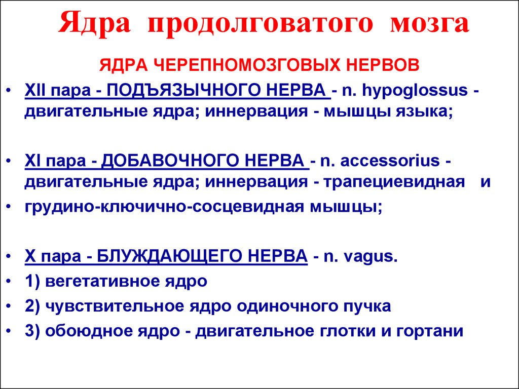 Ядра продолговатого мозга. Вегетативные ядра продолговатого мозга. Функции ядер продолговатого мозга. Кохлеарные ядра продолговатого мозга.