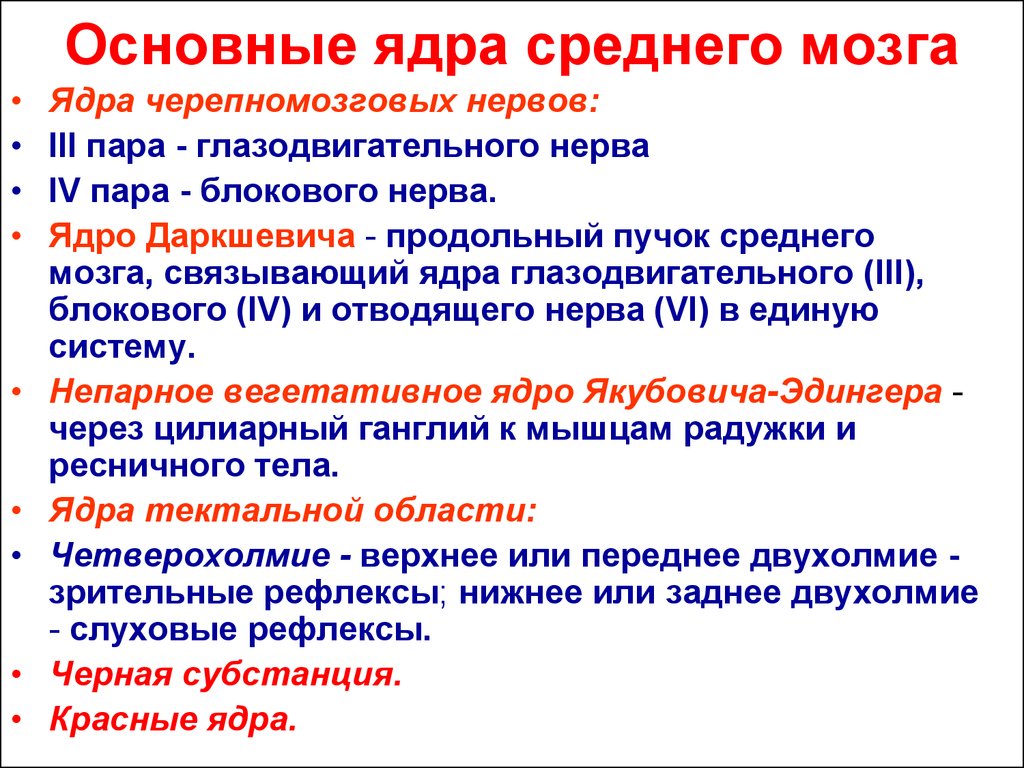 Общее ядро. Ядро Даркшевича и Кахаля. Функции ядер среднего мозга. Основные ядра среднего мозга. Ядро Даркшевича функции.