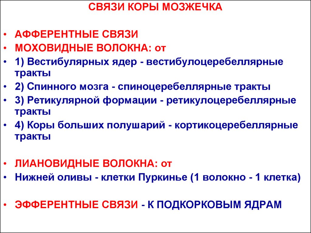 Опишите связь. Афферентные и эфферентные связи мозжечка. Эфферентные связи мозжечка. Афферентные и эфферентные связи мозжечка физиология. Афферентные и эфферентные связи мозжечка с другими структурами мозга.