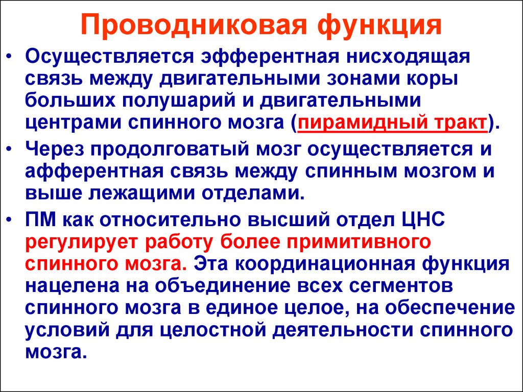 Функция осуществляется. Проводниковая функция среднего мозга. Проводниковая функция продолговатого мозга. Проводниковая функция ствола мозга. Проводниковая функция мозжечка.