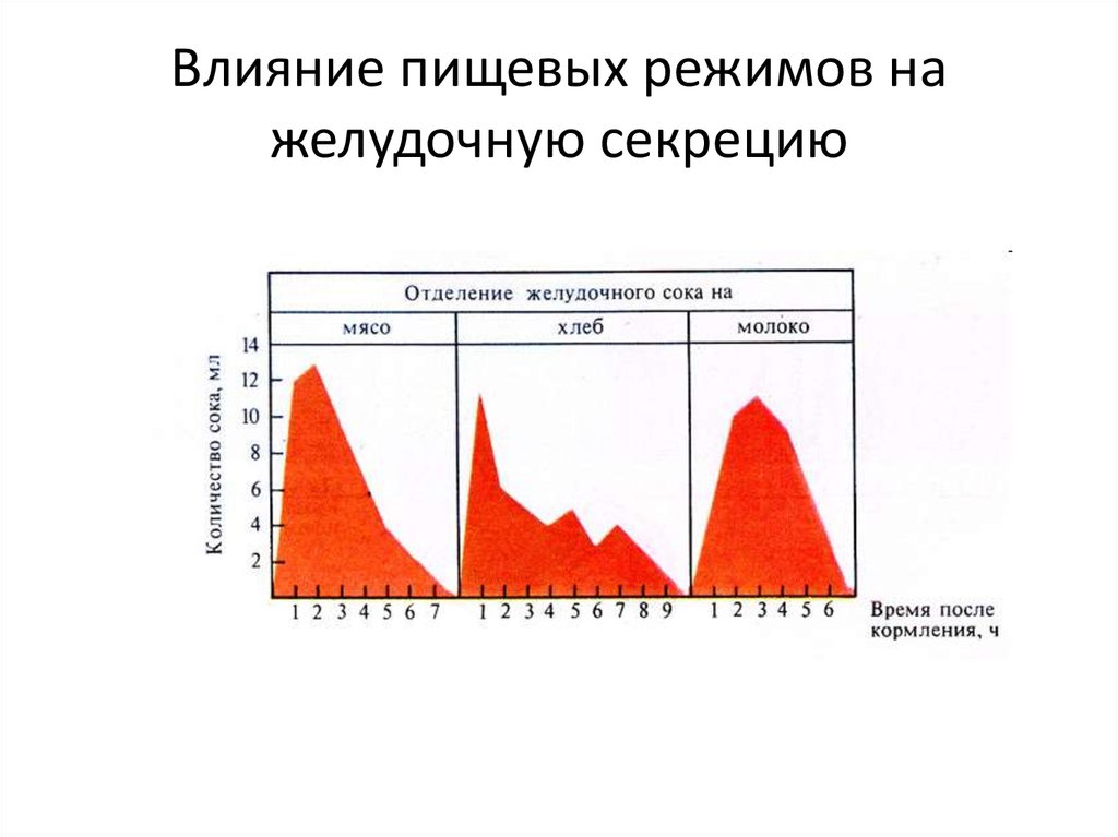 Влияние пищевых. Астенический Тип желудочной секреции. Инертный Тип желудочной секреции график. Влияние пищевых режимов на секрецию.. Влияние пищевых режимов на желудочную секрецию.