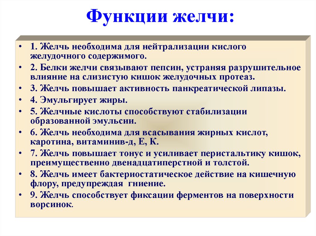 Роль желчного пузыря. Функции в организме человека выполняет желчь. Основная функция желчи. Функции желчи в организме человека. Функции желчи в пищеварении.