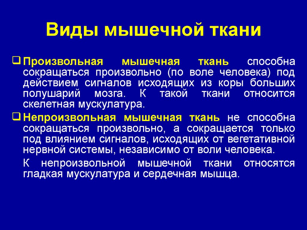 Непроизвольное сокращение мышц. Мышечная ткань сокращающаяся под действием воли человека. Произвольные и непроизвольные мышечные ткани. Сокращается произвольно. Скелетные мышцы сокращаются произвольно или непроизвольно.