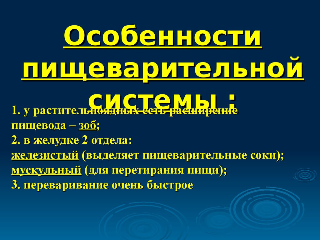 Особенности пищеварения