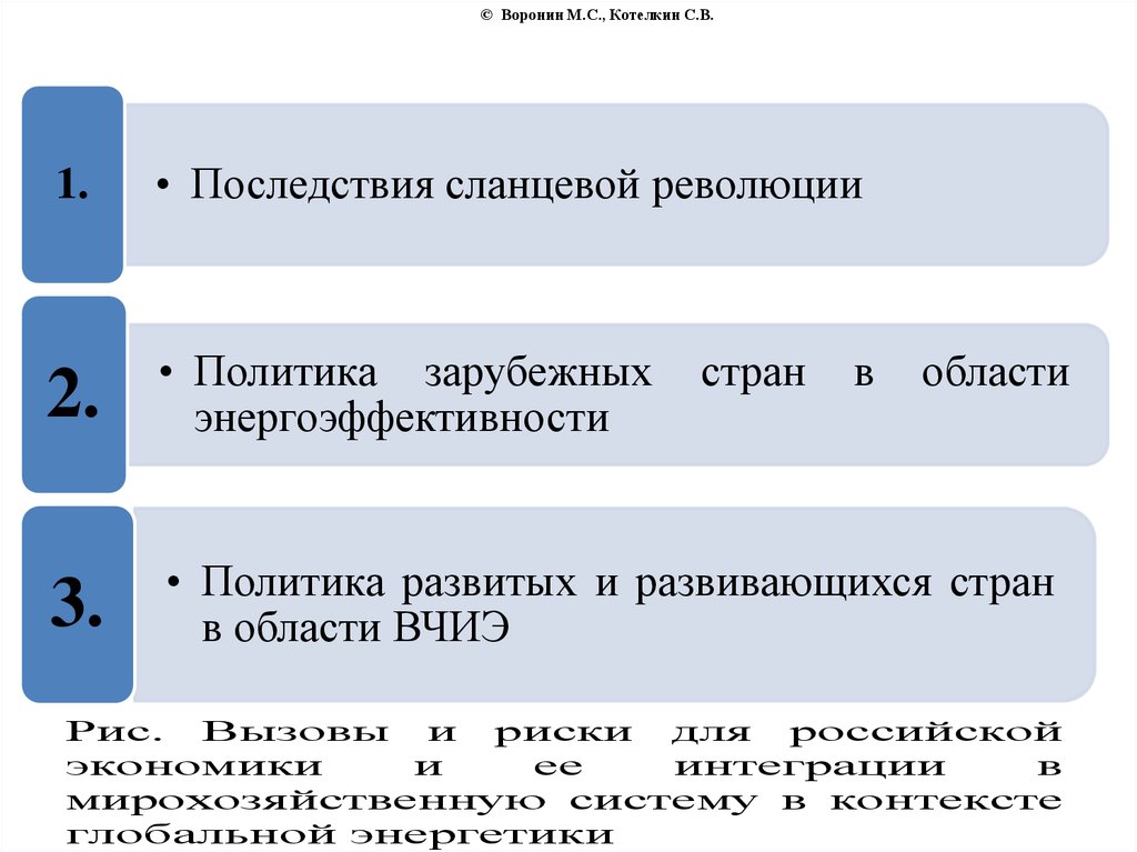© Воронин М.С., Котелкин С.В.