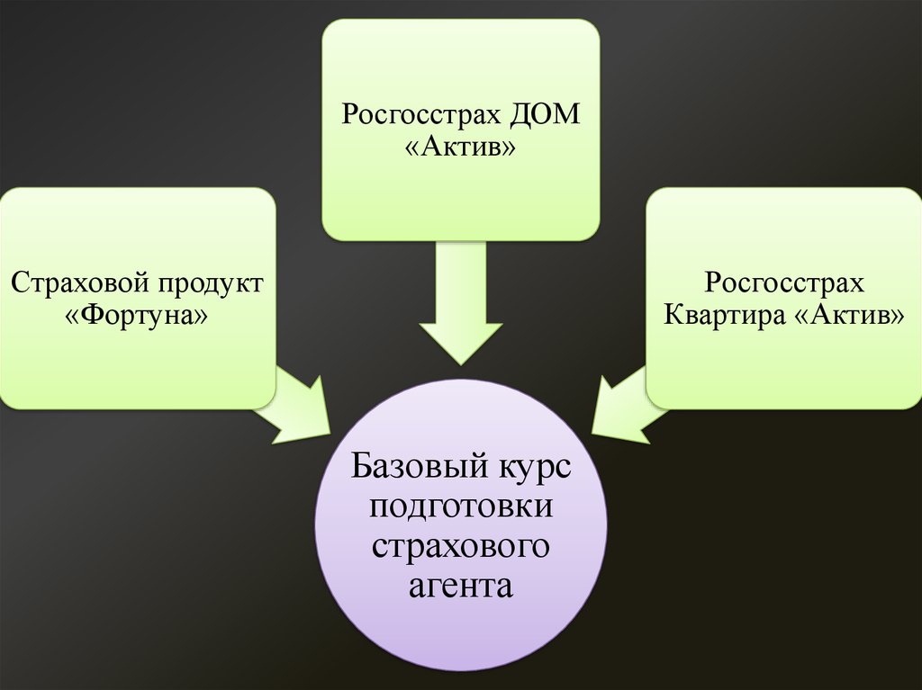 Активы страховой организации. Программа обучения страховых агентов.