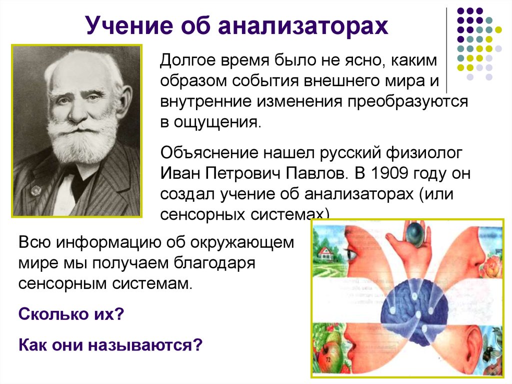 Понятно каким образом. Учение Павлова об анализаторах. Учение и.п. Павлова об анализаторах.. Понятие об анализаторах и.п.Павлов. Учение об анализаторах разработано.