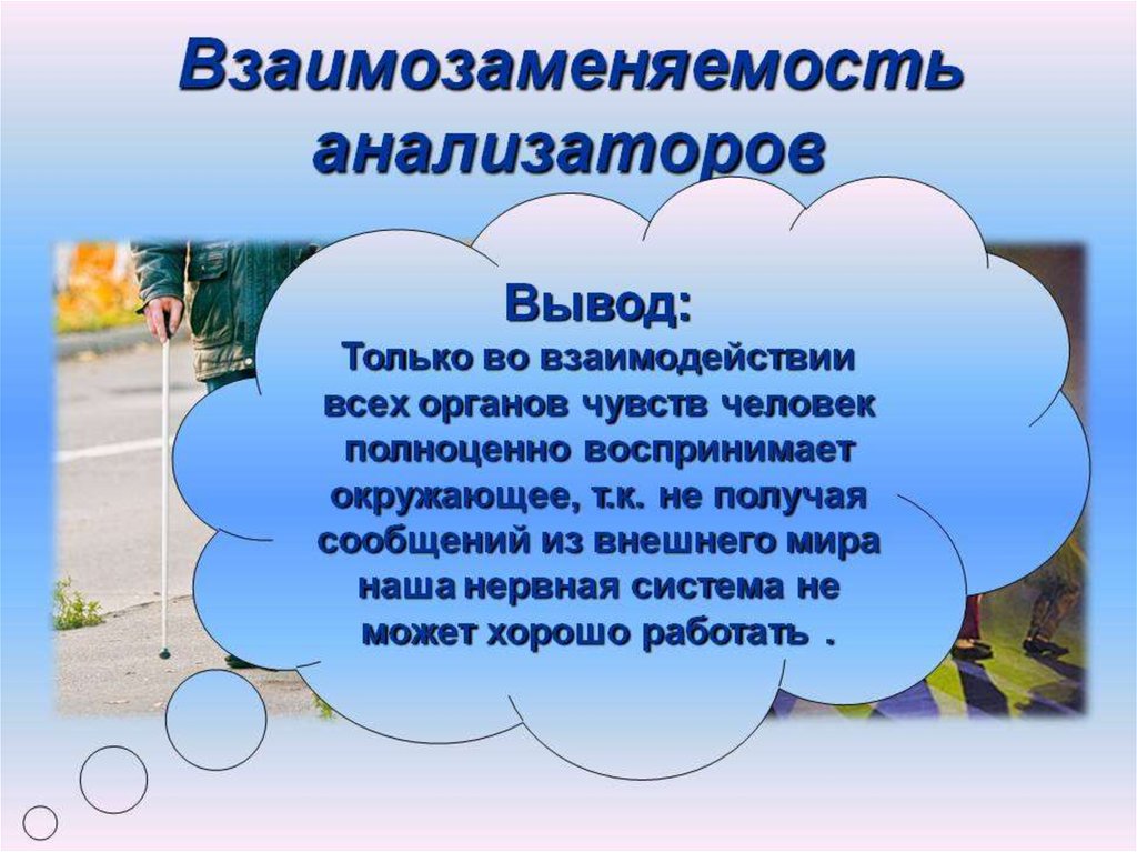 Органы чувств и анализаторы 8 класс презентация