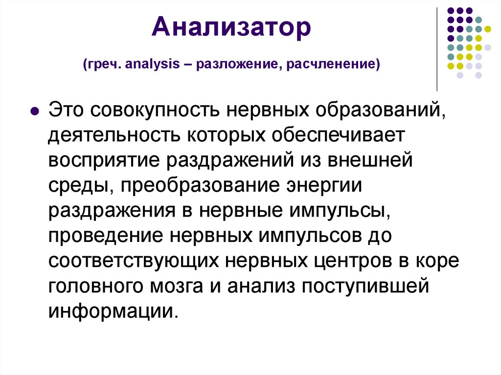 Учение об анализаторах разработано. Анализатор образования. Восприятие раздражения анализатором. Совокупность нервных образований. Учение об анализаторах воспринимает:.