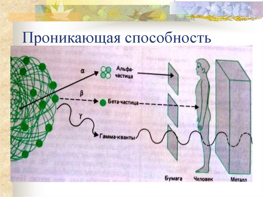 Рассмотрите рисунок 209 на котором показаны траектории альфа бета и гамма частиц