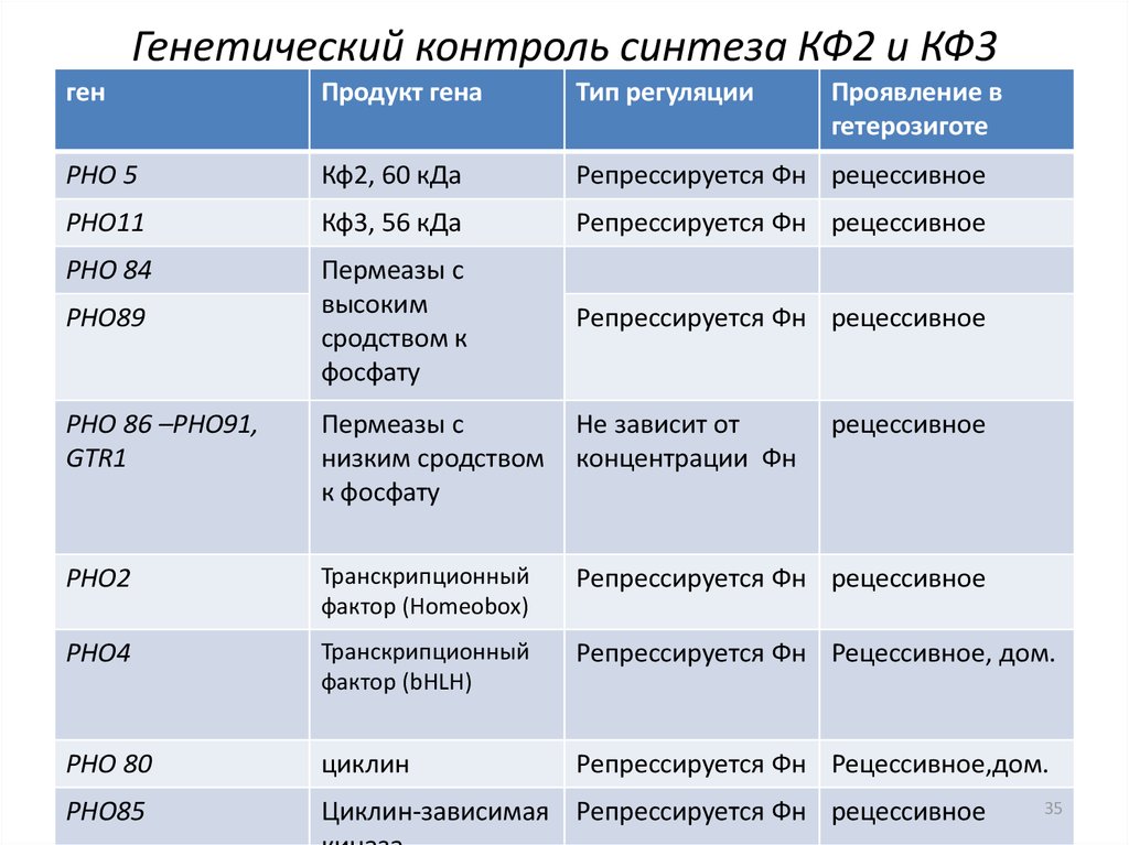 Генетический контроль развития растений животных и человека. Генетический контроль. Генетический контроль развития организма. Таблица генетического материала.