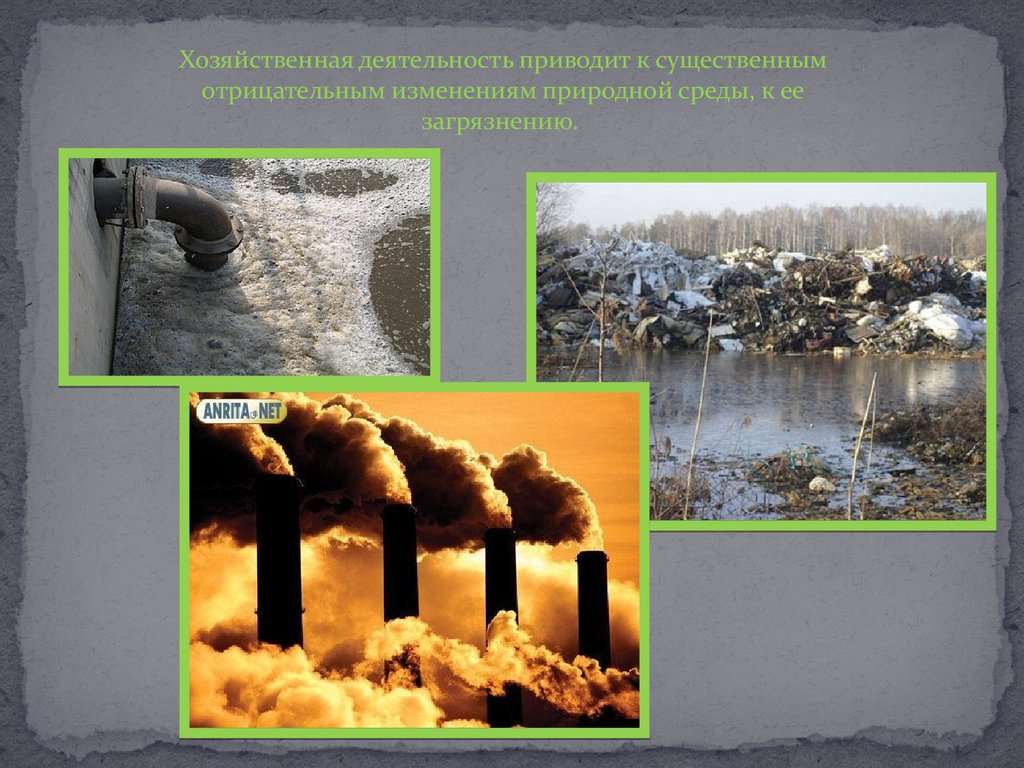 Природа и природные ресурсы экологические проблемы