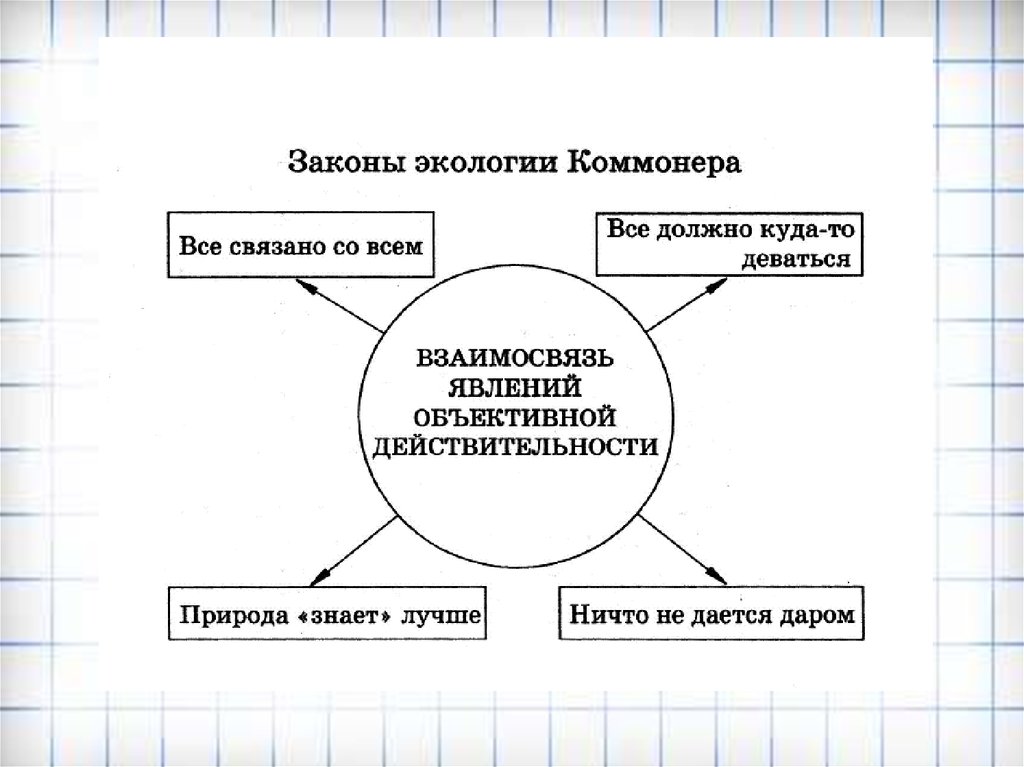 Первый закон экологии по б коммонеру