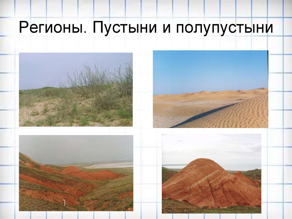Природно хозяйственные зоны россии полупустыни. Евразия пустыни и полупустыни почва. Почвы пустыни и полупустыни в России. Почвы полупустынь. Полупустыни и пустыни проект.