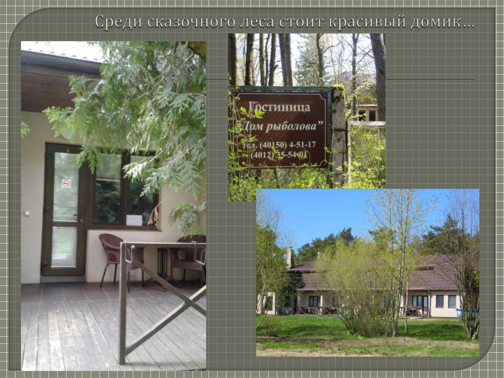 Среди сказочного леса стоит красивый домик…