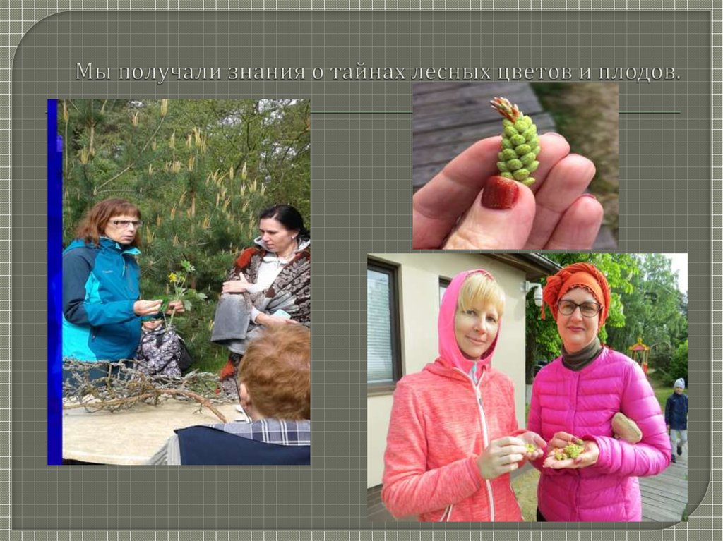 Мы получали знания о тайнах лесных цветов и плодов.