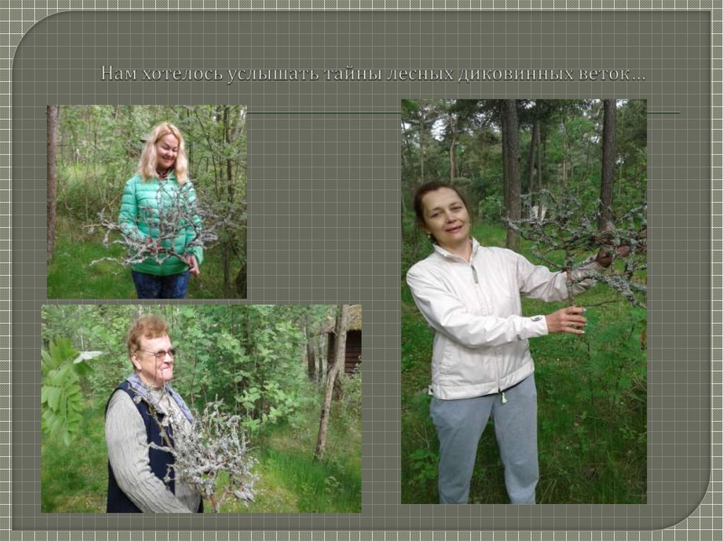 Нам хотелось услышать тайны лесных диковинных веток…