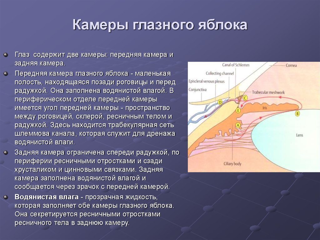 Отток влаги глаза