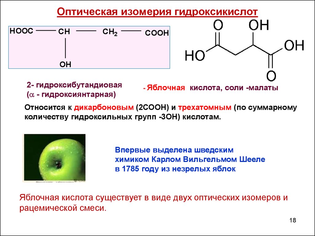 Оптическая изомерия гидроксикислот