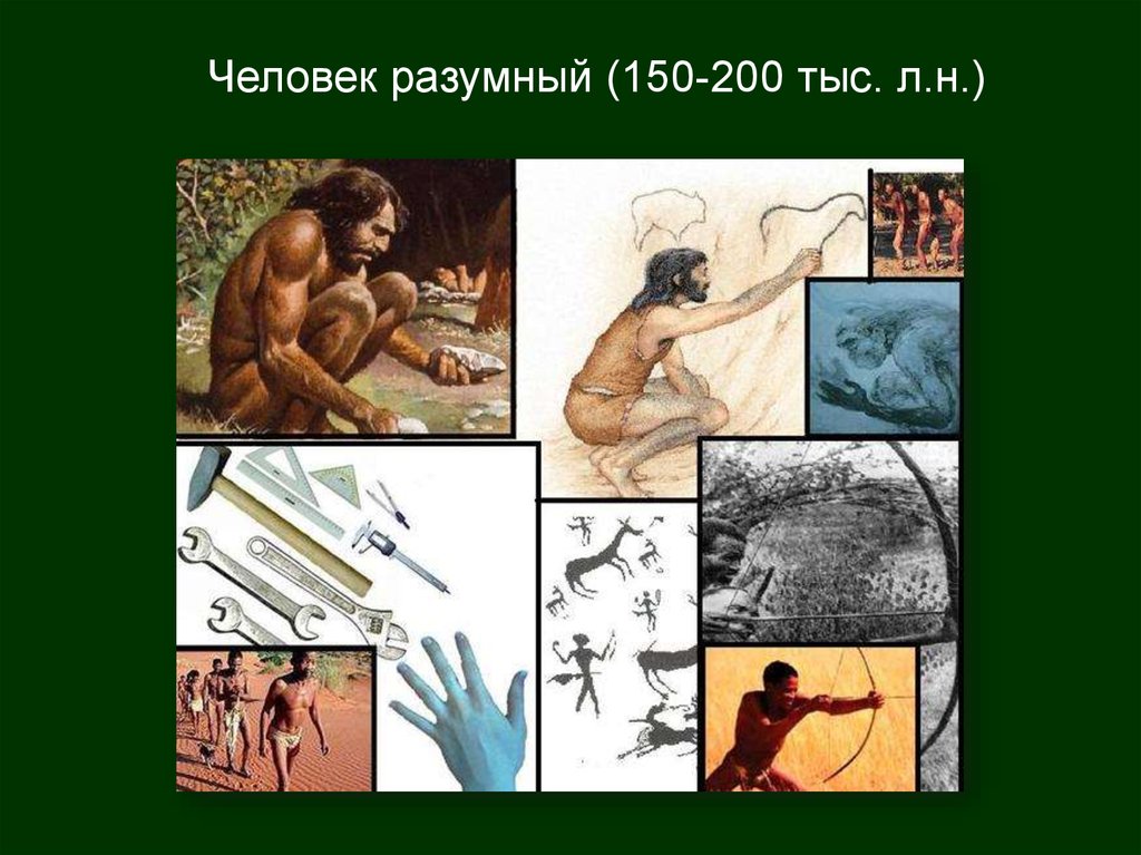 Хомо сапиенс человек разумный сформировался около. Первобытная эпоха человечества Введение. Хомо сапиенс книга. Рассказ о первобытном человеке 4 класс.