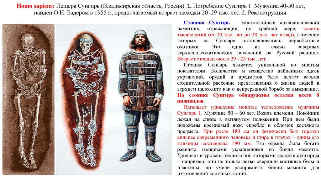 Информация о была найдена. Владимир исторический музей Сунгирь. Информация о стоянке Сунгирь под Владимиром. Стоянка Сунгирь сообщение 6 класс. Стоянка древнего человека во Владимирской области Сунгирь.