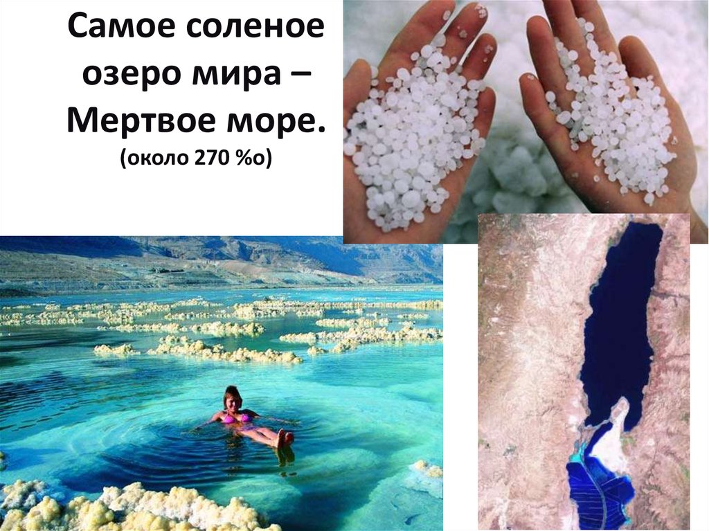 Соленое море в мире