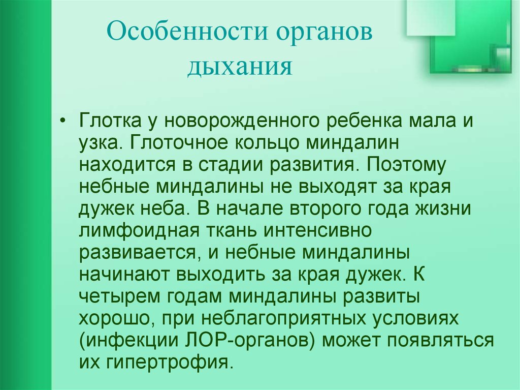 Особенности органов дыхания