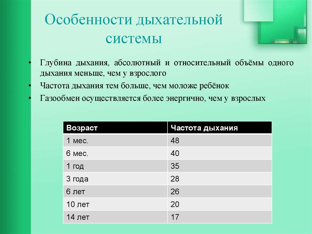 Возрастные особенности дыхательной системы презентация